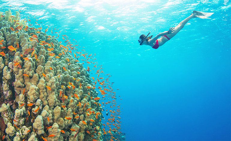 free diving