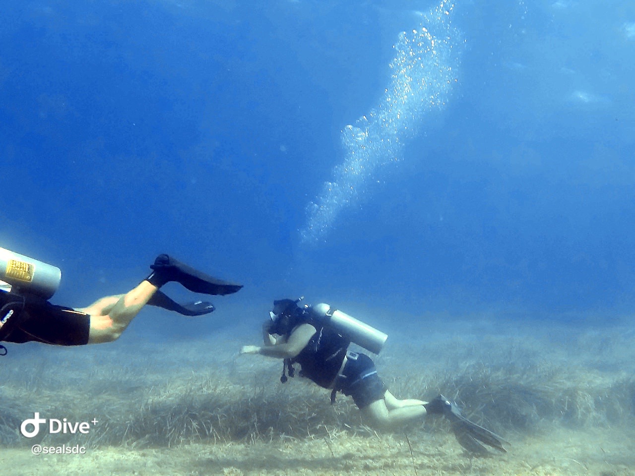 Female Diver in Diving Gear Poses on the Beach Stock Photo - Image of  activity, back: 117591580
