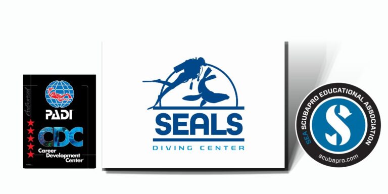 Seals diving center