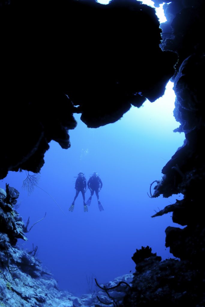 Scuba diving along North Wall, Grand Cayman Dive site known as Mainstreet