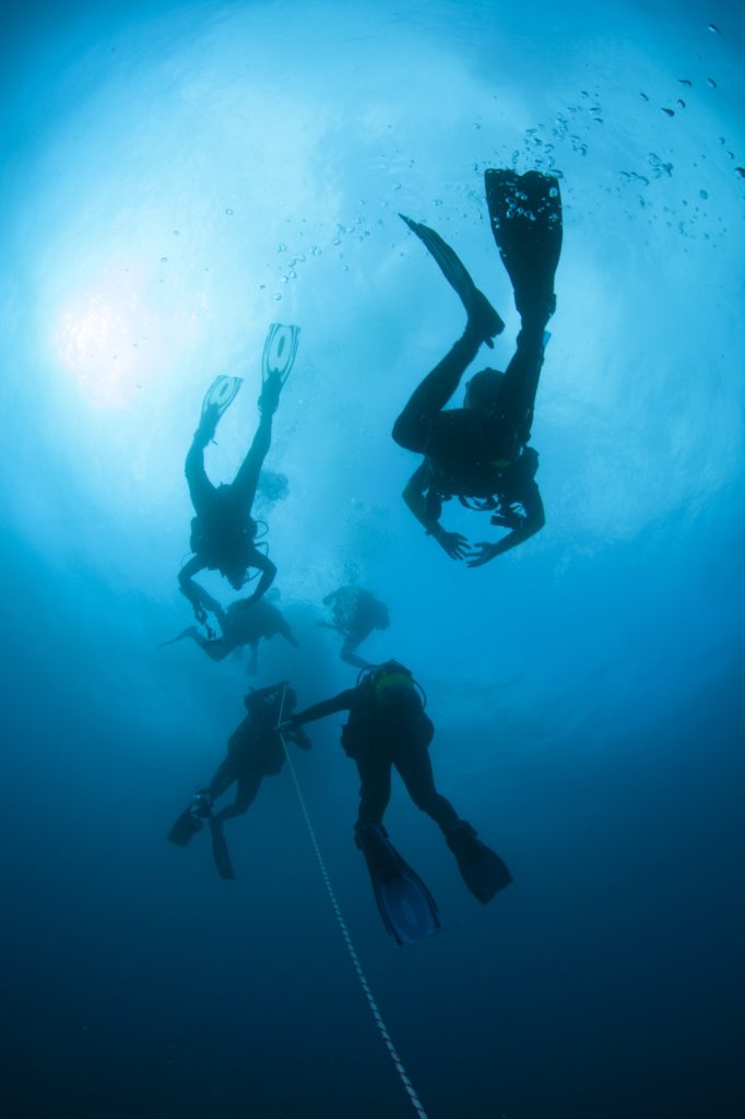 Silhouetted Scuba Divers Return to Surface