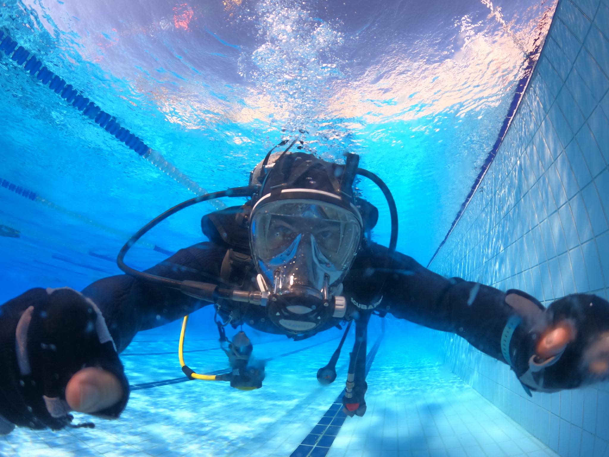 332101037 3213146972164986 5626647063891469994 n